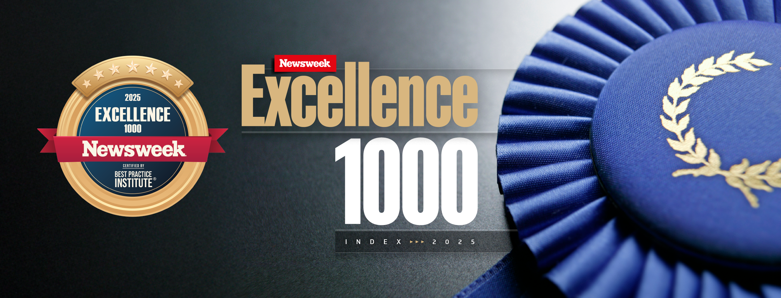 excellence-index-2025-01